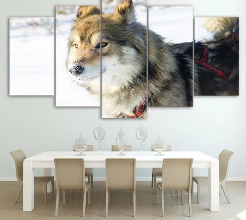 Tableau Loup Gris